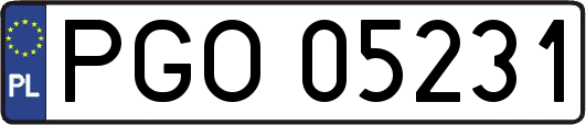 PGO05231