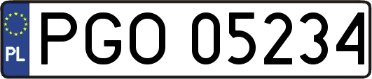 PGO05234