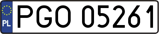 PGO05261