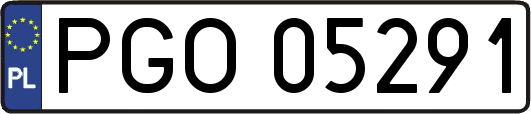PGO05291