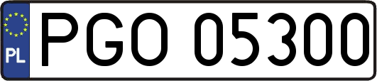 PGO05300