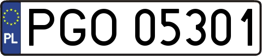 PGO05301