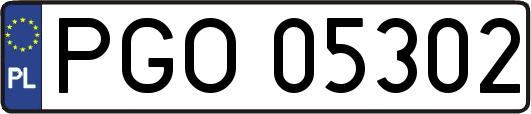 PGO05302