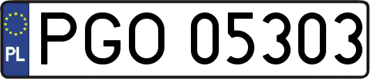 PGO05303