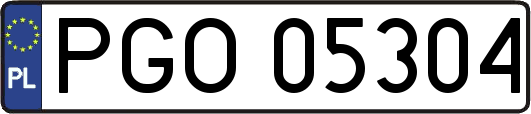 PGO05304