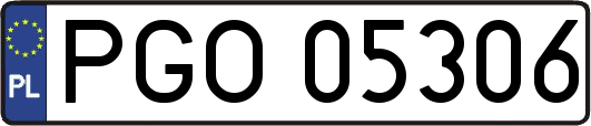 PGO05306