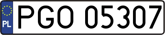 PGO05307