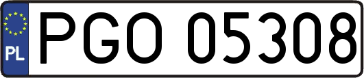 PGO05308
