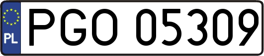 PGO05309