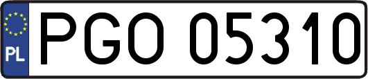 PGO05310