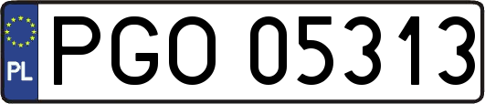 PGO05313