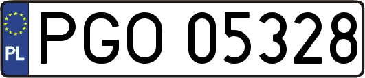 PGO05328