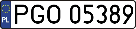 PGO05389