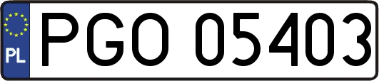 PGO05403