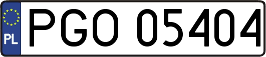 PGO05404