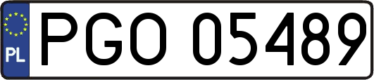 PGO05489