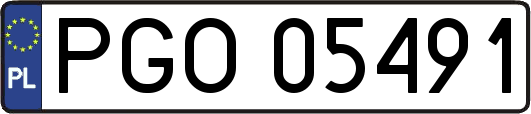 PGO05491