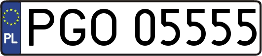 PGO05555