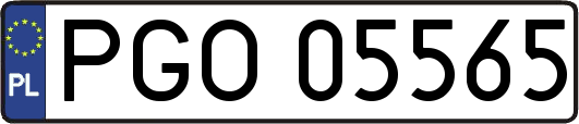 PGO05565