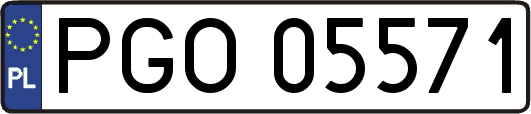 PGO05571