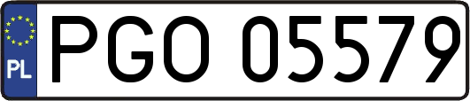 PGO05579