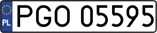 PGO05595