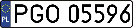 PGO05596