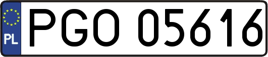 PGO05616