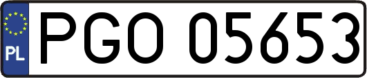 PGO05653