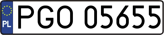 PGO05655