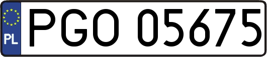 PGO05675