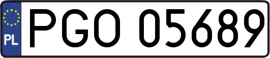 PGO05689