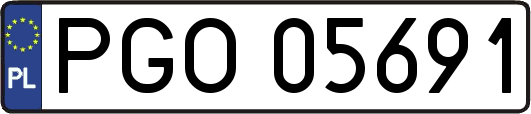 PGO05691