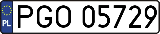 PGO05729