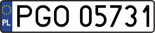 PGO05731