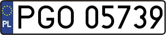 PGO05739