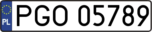 PGO05789