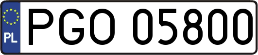 PGO05800