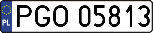 PGO05813