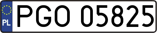 PGO05825