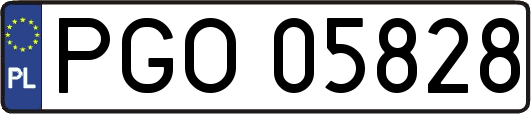 PGO05828