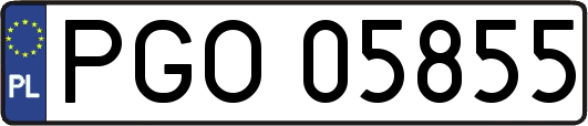 PGO05855