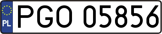 PGO05856