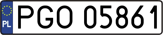 PGO05861