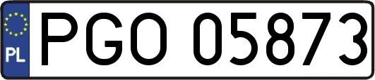 PGO05873