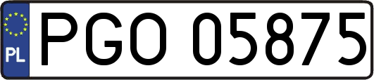 PGO05875