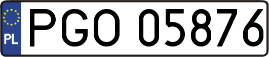 PGO05876