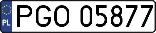 PGO05877