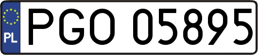 PGO05895