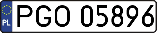 PGO05896